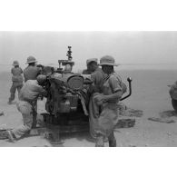 Mise en batterie d'une batterie de 4 canons de 8,8 cm Flak sur le front d'El Alamein, ici le Kommandogerät 40.
