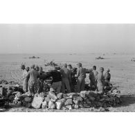 Mise en batterie d'une batterie de 4 canons de 8,8 cm Flak sur le front d'El Alamein.