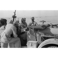 Une voiture de commandement du Flak-Regiment 135.