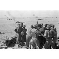 Sur le front d'El Alamein, le Kommandogerät 40 guidant une batterie de 4 canons de 8,8 cm Flak.
