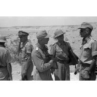 Officiers du Luftwaffe Flak-Regiment 135 lors de l'inspection du général (Generalleutnant) Johannes Josef Heinrich Burchard.