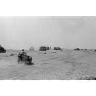 Lors de la bataille d'El Alamein, une colonne germano-italienne progresse dans le sud du dispositif de l'Axe.