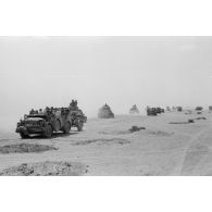 Lors de la bataille d'El Alamein, une colonne germano-italienne progresse dans le sud du dispositif de l'Axe.