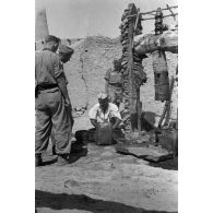 L'oasis de Siwa en Egypte.