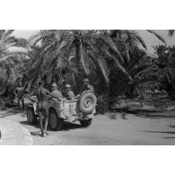 Le bain de Cléopâtre à l'oasis de Siwa.