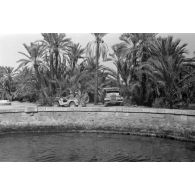 Le bain de Cléopâtre à l'oasis de Siwa.