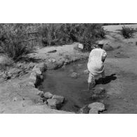 Une source et un habitant de l'oasis de Siwa (Egypte).