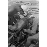En Afrique, au sein d'une unité de maintenance (Werkstatt Kompanie), la maintenance de motocyclettes BMW qui semblent déjà bien éprouvées par le désert et les conditions climatiques.