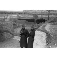 En Tunisie, des sentinelles allemandes surveillent un canon français.