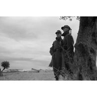 En Tunisie, des sentinelles allemandes surveillent un canon français.