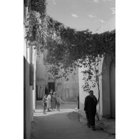 Promenade touristique dans Tunis.