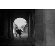 Promenade touristique dans Tunis.