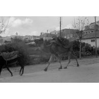 Aspects d'un village où est basé un groupe du Jagdgeschwader 53.