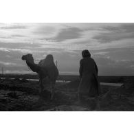 Travaux agricoles à l'aide d'un dromadaire.