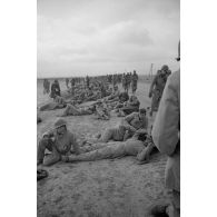 En Tunisie, une colonne de prisonniers américains sous la garde de fantassins allemands.