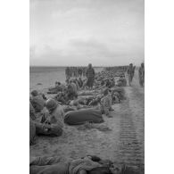 En Tunisie, une colonne de prisonniers américains sous la garde de fantassins allemands.