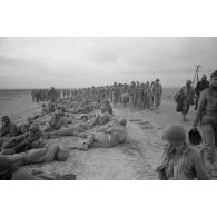 En Tunisie, une colonne de prisonniers américains sous la garde de fantassins allemands.