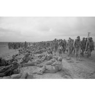 En Tunisie, une colonne de prisonniers américains sous la garde de fantassins allemands.