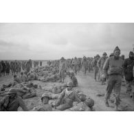 En Tunisie, une colonne de prisonniers américains sous la garde de fantassins allemands.