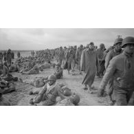 En Tunisie, une colonne de prisonniers américains sous la garde de fantassins allemands.