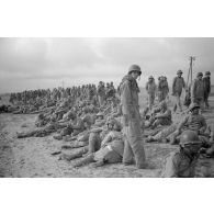 En Tunisie, une colonne de prisonniers américains sous la garde de fantassins allemands.