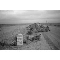 En Tunisie, prisonniers américains de la bataille de Kasserine.