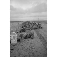 En Tunisie, prisonniers américains de la bataille de Kasserine.