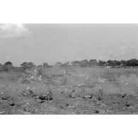 Les débris d'un bombardier américain crashé dans les oliviers.