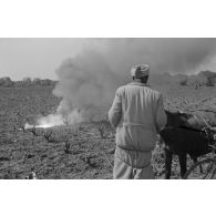 Des Tunisiens inspectent les débris d'un crash aérien, certainement un quadrimoteur américain du type B-17 ou B-24.