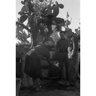 Une Tunisienne prépare un repas pour des soldats du service postal (Feldpostamt 190).