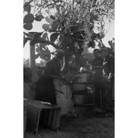 Une Tunisienne prépare un repas pour des soldats du service postal (Feldpostamt 190).