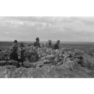 Une position d'observation de l'Axe dans le secteur de Sidi Azeiz.