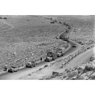 Des véhicules de la 5-Leicht Division roulent en colonne sur la via Balbia.
