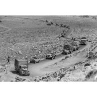 Des véhicules de la 5-Leicht Division roulent en colonne sur la via Balbia.