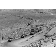 Des véhicules de la 5-Leicht Division roulent en colonne sur la via Balbia.