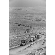 Des véhicules de la 5-Leicht Division roulent en colonne sur la via Balbia.