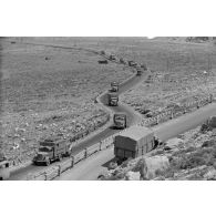 Des véhicules de la 5-Leicht Division roulent en colonne sur la via Balbia.