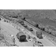 Des véhicules de la 5-Leicht Division roulent en colonne sur la via Balbia.