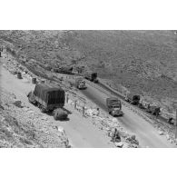 Des véhicules de la 5-Leicht Division roulent en colonne sur la via Balbia.