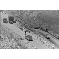 Des véhicules de la 5-Leicht Division roulent en colonne sur la via Balbia.