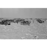 Durant la prise d'armes, les soldats italiens et les voitures Kfz-21, Kfz-12, Kfz-2, et Fiat 508.