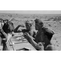 Un équipage de char mange des oeufs cuits à même le Panzer II.