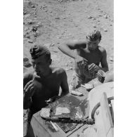 Un équipage de char mange des oeufs cuits à même le Panzer II.