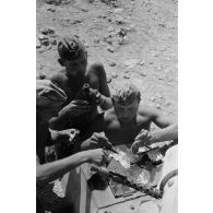Un équipage de char mange des oeufs cuits à même le Panzer II.