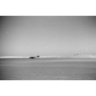 Des planeurs Gotha Go-242 se posent.