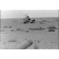 Une automitrailleuse britannique détruite (Marmond Herrington).