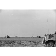 Les chars Panzer III (Pz-III, des types G à L) en formation de combat se portent en avant.