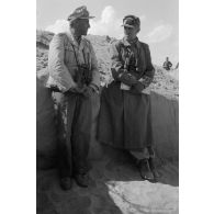 Les généraux von Thoma et von Sponeck, l'Oberst Bayerlein, l'Hauptmann Reissmann et un prisonnier.