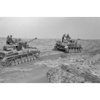 Deux chars Panzer IV (Pz-IV Ausf-G) progressent à flanc de colline.
