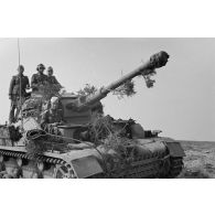 Passage de deux chars Panzer IV (Pz-IV Ausf-G).